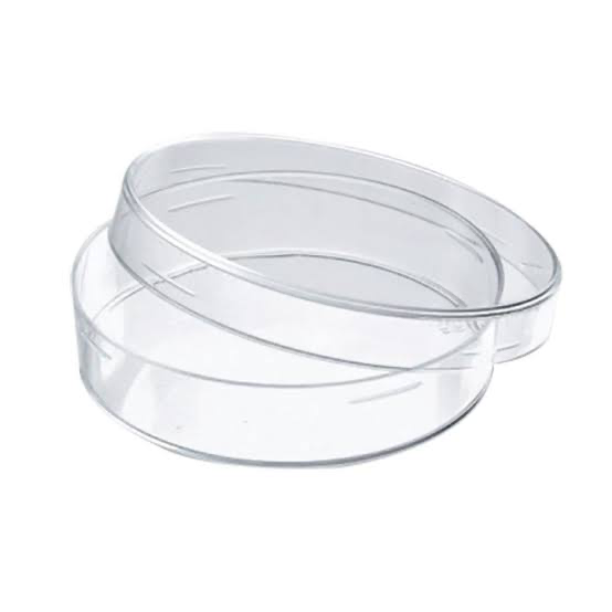 Petri dish 1