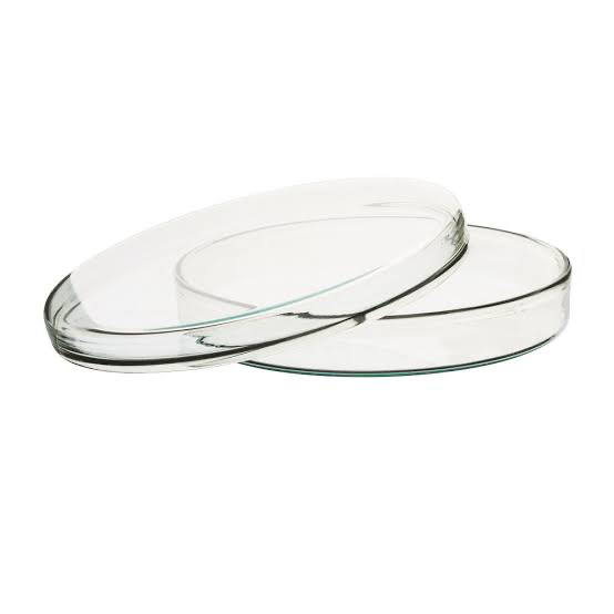 Petri dish plastic