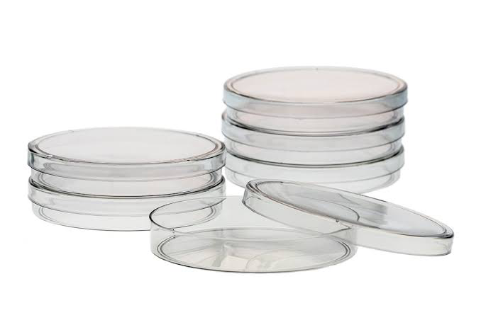 Petri Dish/ Culture Plates