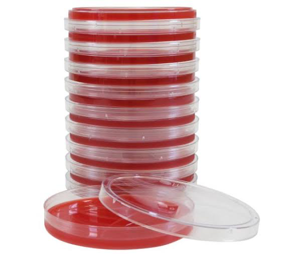 Culture Media (Prepared Plates)